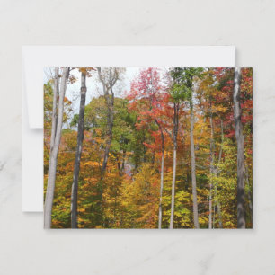 Fall i skogens färgstarka höstfotografi kort