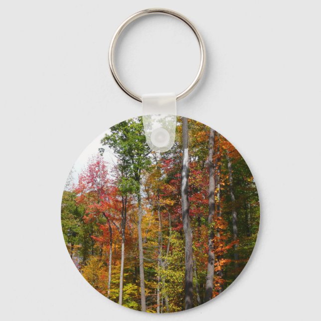 Fall i skogens färgstarka höstfotografi nyckelring (Framsida)