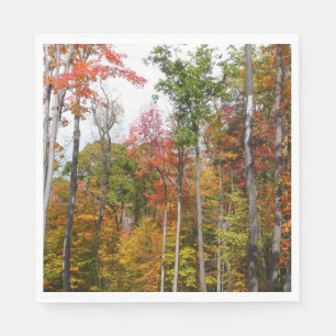 Fall i skogens färgstarka höstfotografi pappersservett