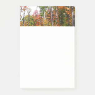 Fall i skogens färgstarka höstfotografi post-it block