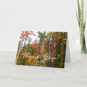 Fall i skogens färgstarka höstfotografi tack kort