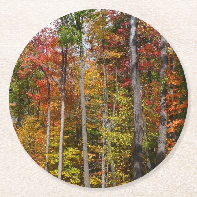 Fall i skogens färgstarka höstfotografi underlägg papper rund (Framsidan)
