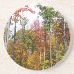 Fall i skogens färgstarka höstfotografi underlägg sandsten