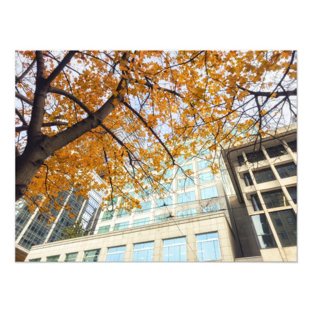 Fall i staden fototryck (Framsidan)