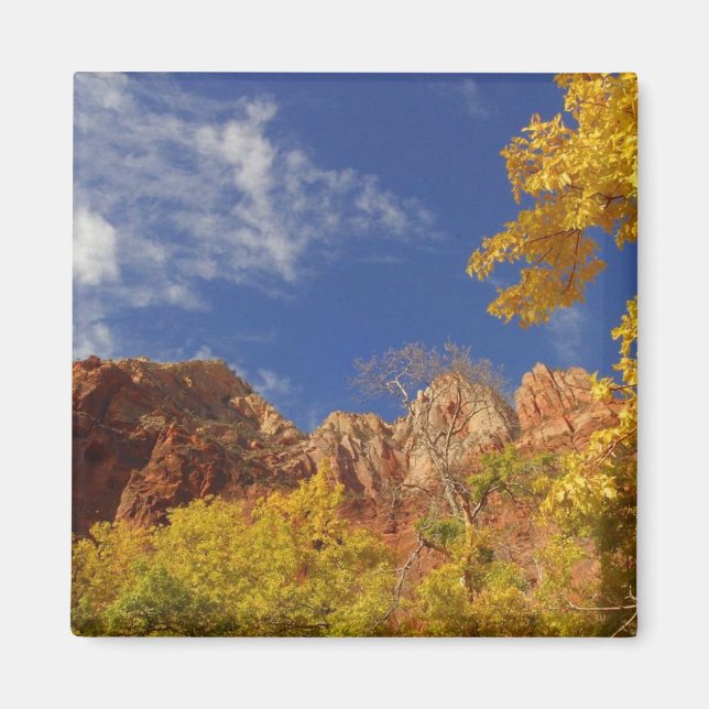 Fall i Zion Magnet (Framsidan)
