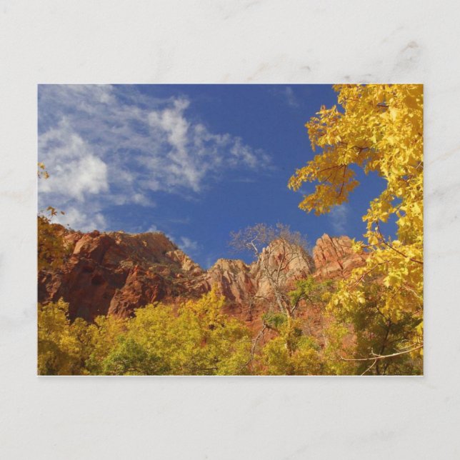 Fall i Zion Vykort (Framsida)