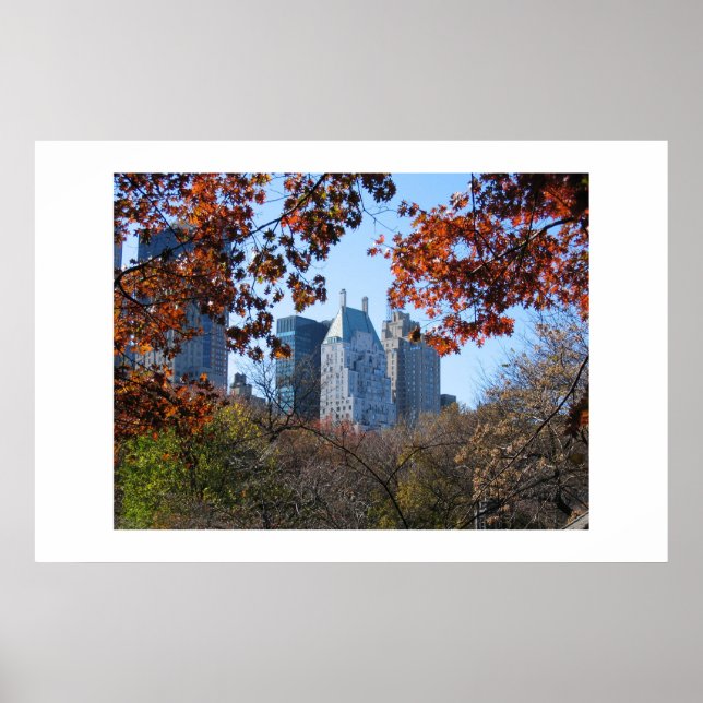 FALL IN CENTRAL PARK NYC-fotografi poster (Framsidan)