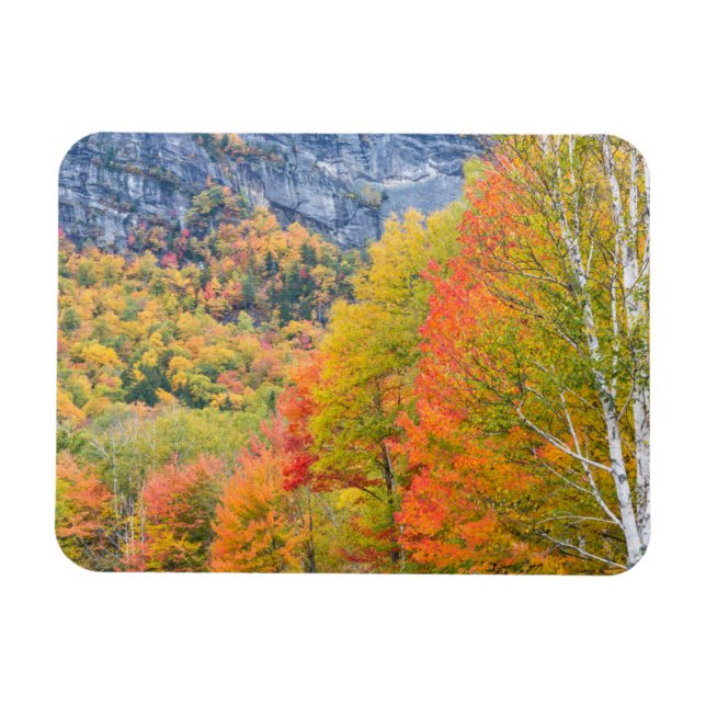 Fall in Grafton Notch State Park, Maine Magnet (Horisontell)