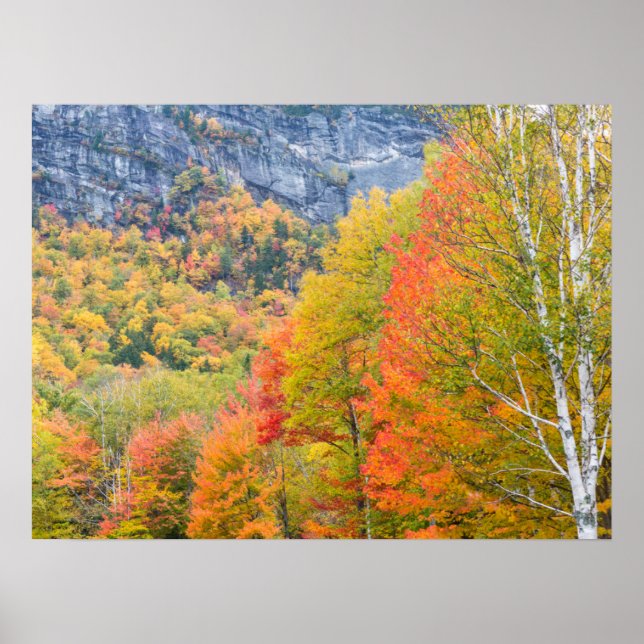 Fall in Grafton Notch State Park, Maine Poster (Framsidan)