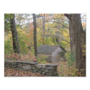 Fall in New England Photo Print Fototryck