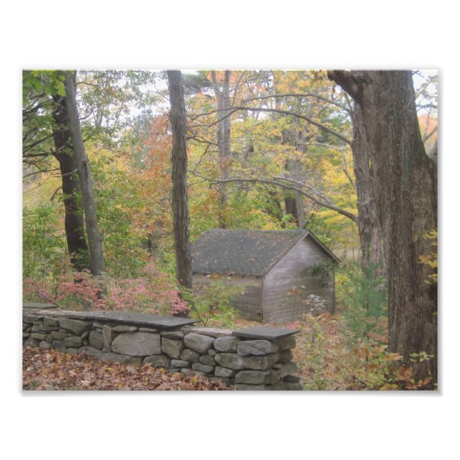 Fall in New England Photo Print Fototryck (Framsidan)