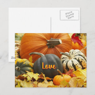 Fall Kärlek Autumn Photo Löv Pumpkins Vykort