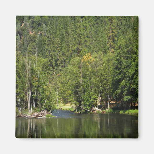 Fall kommer... magnet (Framsidan)