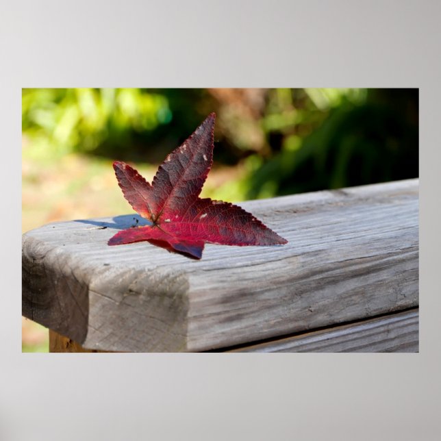 Fall Lämna Poster (Framsidan)