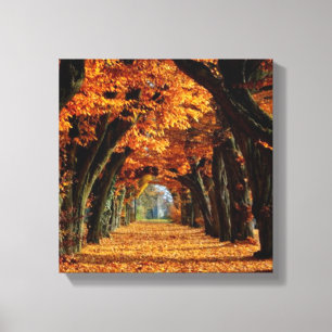Fall Land Road Canvastryck