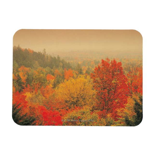 Fall Landcape, New Hampshire, USA Magnet (Horisontell)