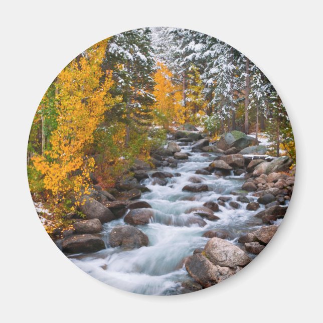 Fall längs Bishop bäck, Kalifornien Magnet (Framsidan)