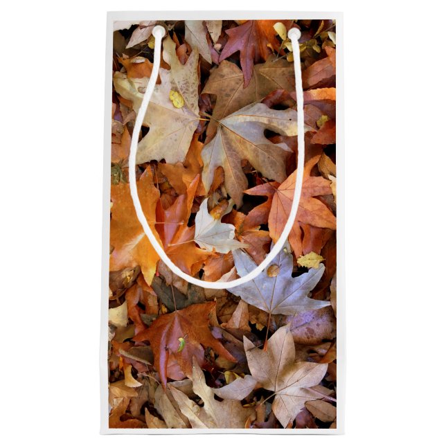 Fall Leaf (Framsidan)