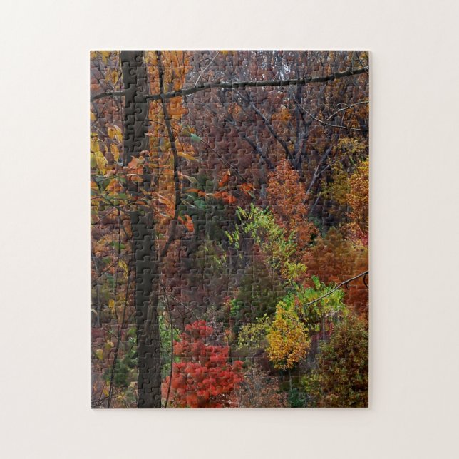 Fall liggande i Arkansas Jigszel Puzzel Pussel (Vertikal)