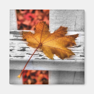 Fall Löv Magnet