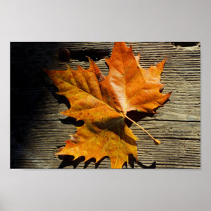 Fall Löv Poster
