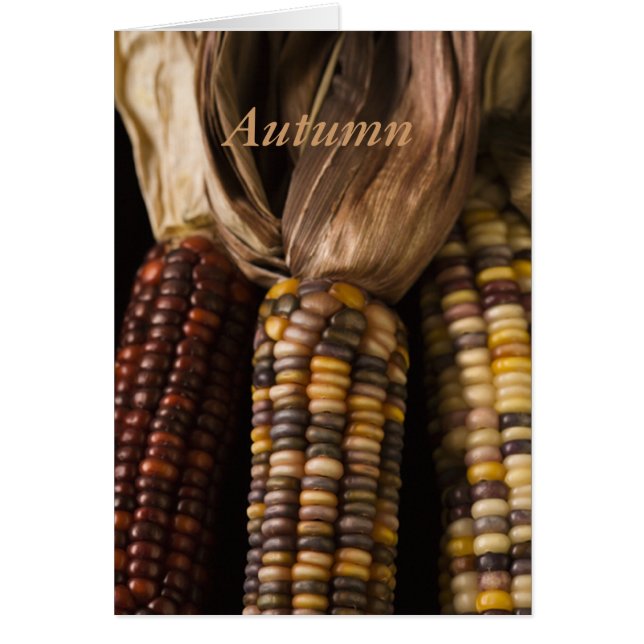 Fall Maj Harvest Hälsningskort (Framsidan)