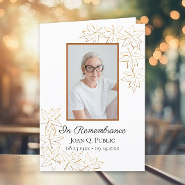 Fall Maple-Löv - antal  för funktionalitet, mappad Program