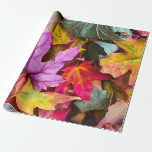 Fall maple träd löv, färgfoto av höstkaraktär presentpapper