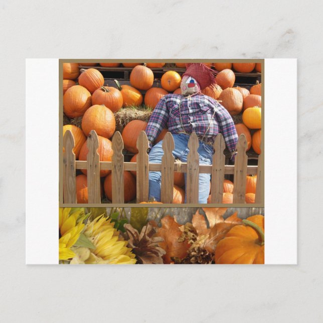 Fall Midwest Vykort (Framsida)