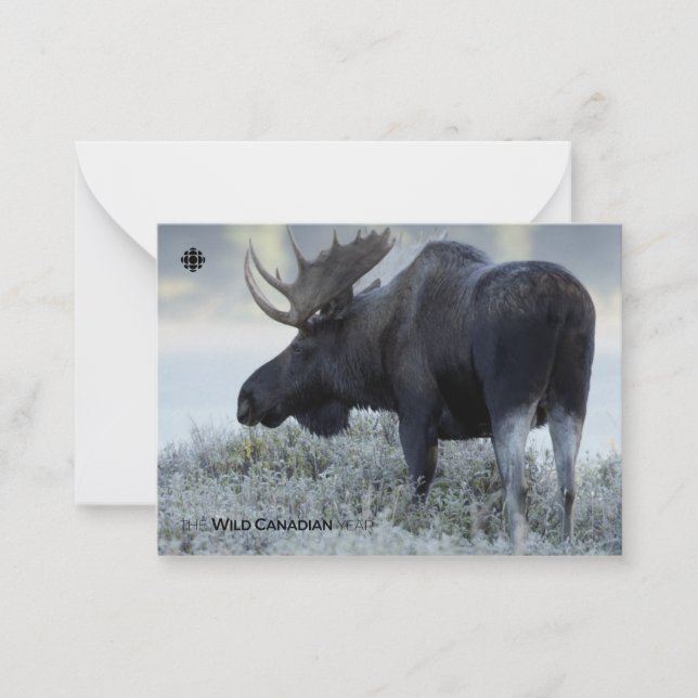 Fall - Moose Anteckningskort (Framsida)