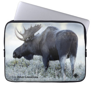 Fall - Moose Laptop Fodral