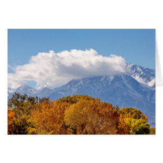 Fall Morgon OBS Kort