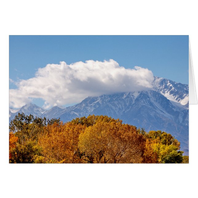 Fall Morgon OBS Kort (Framsidan Horizontal)