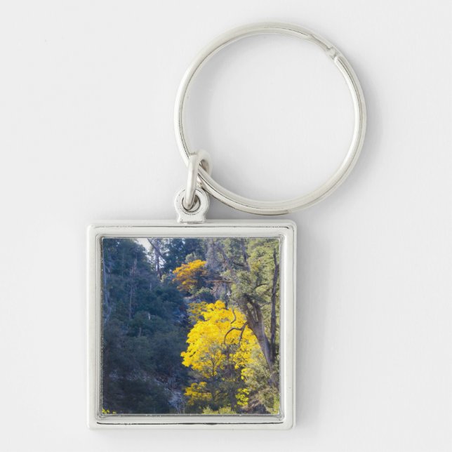 Fall-nyckelkedja 6 fyrkantig silverfärgad nyckelring (Framsidan)