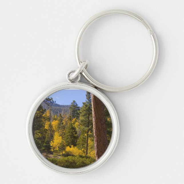 Fall-nyckelkedja 9 rund silverfärgad nyckelring (Framsidan)