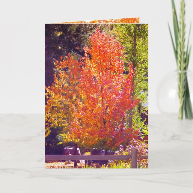 Fall- och Thanksgiving-kort 2 Helgkort (Framsida)