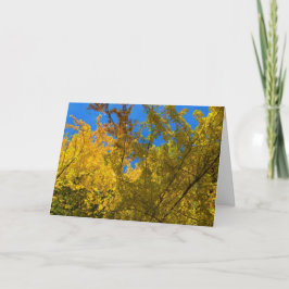 Fall- och Thanksgiving-kort 3 Helgkort