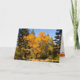 Fall- och Thanksgiving-kort Helgkort