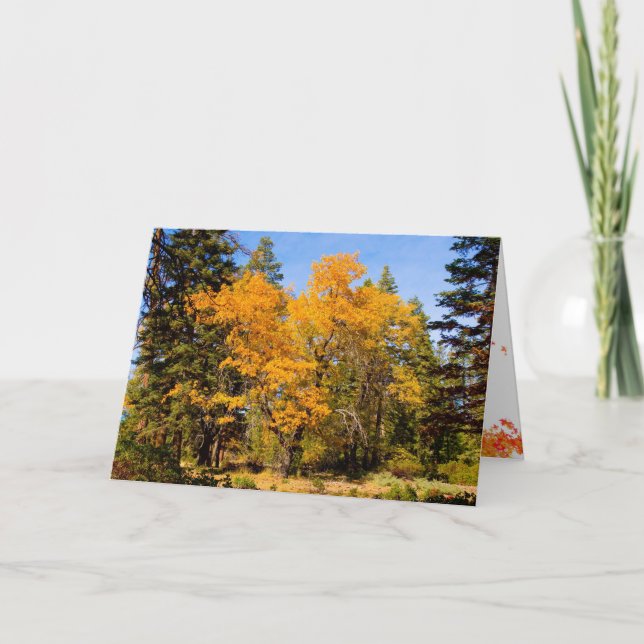 Fall- och Thanksgiving-kort Helgkort (Framsida)