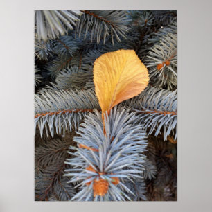 fall och vinter poster