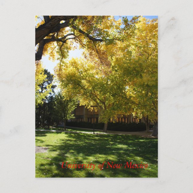 Fall på Campus I Vykort (Framsida)