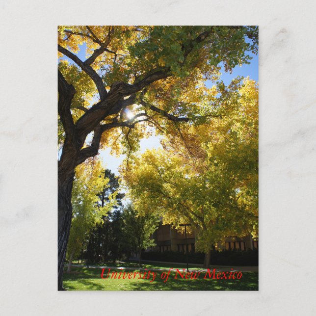 Fall på Campus II Vykort (Framsida)