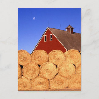 Fall på gården vykort