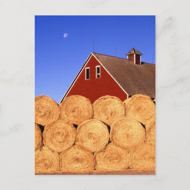 Fall på gården vykort (Framsida)