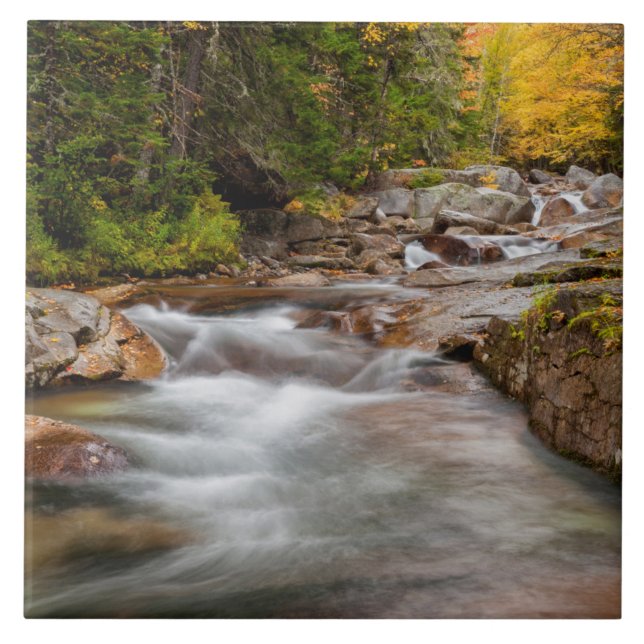 Fall på Jefferson Brook, New Hampshire Kakelplatta (Framsidan)