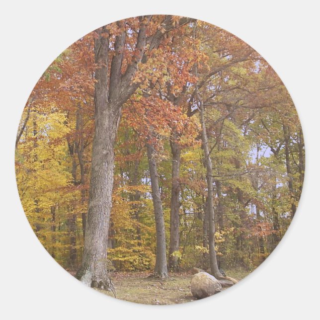 Fall på Park-märket Runt Klistermärke (Framsida)