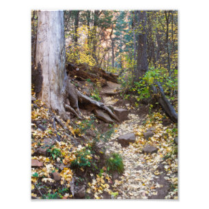 Fall på Väster Fork-spåret Fototryck