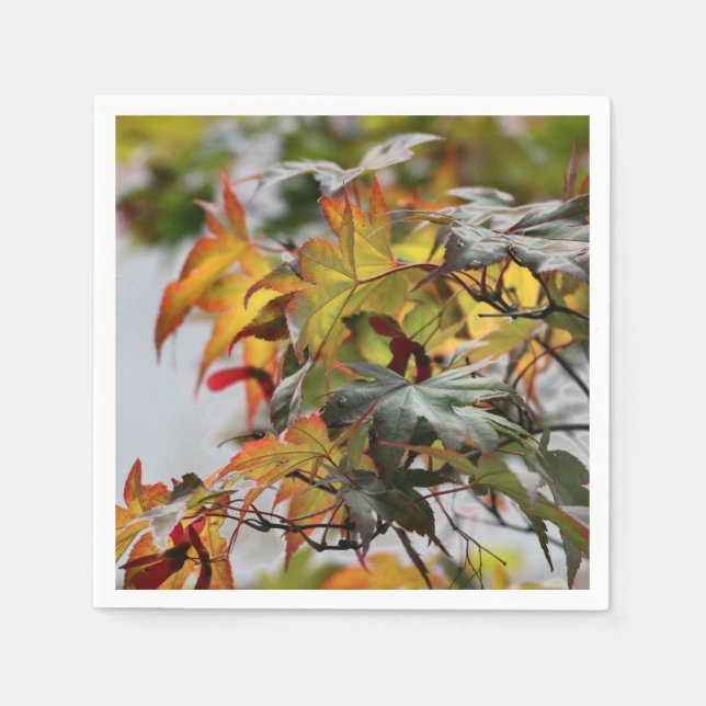 Fall Pappersservett (Framsidan)