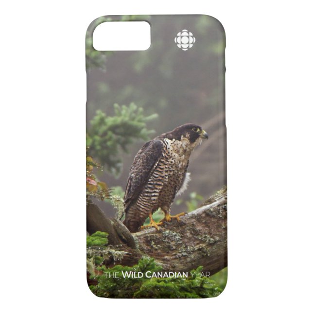 Fall - Peregrine Falcon Case-Mate iPhone Skal (Baksida)