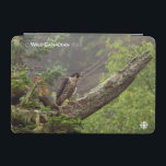 Fall - Peregrine Falcon iPad Mini Skydd<br><div class="desc">Foto av: Jeff Turner. Peregrine falcon söker efter be från en träd-koffert som förbiser Fundybukten. Plats: Fundy Bay, New Brunswick _x000D_ _x000D_ Från skaparna av den berömda VILDEN CANADA, kommer med en ny femdelad äldre serie som kommer att visa Kanadas fantastiska djurliv genom linsen av dess fyra olika årstider. Mer...</div>